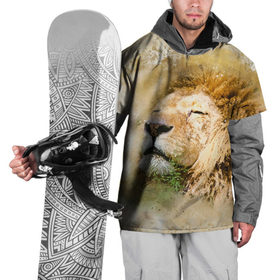 Накидка на куртку 3D с принтом Лев в Санкт-Петербурге, 100% полиэстер |  | зверь | лев | тигр | хищник