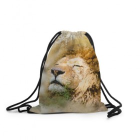 Рюкзак-мешок 3D с принтом Лев в Санкт-Петербурге, 100% полиэстер | плотность ткани — 200 г/м2, размер — 35 х 45 см; лямки — толстые шнурки, застежка на шнуровке, без карманов и подкладки | зверь | лев | тигр | хищник
