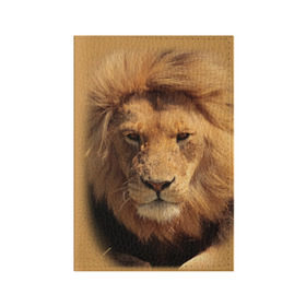 Обложка для паспорта матовая кожа с принтом Лев в Санкт-Петербурге, натуральная матовая кожа | размер 19,3 х 13,7 см; прозрачные пластиковые крепления | животные | кошка | лев | тигр | хищник