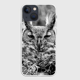 Чехол для iPhone 13 mini с принтом Филин в Санкт-Петербурге,  |  | bird | nest | night | nocturnal | owl | predator | гнездо | ночной | птица | сова | филин | хищник