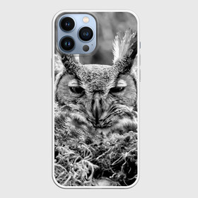 Чехол для iPhone 13 Pro Max с принтом Филин в Санкт-Петербурге,  |  | bird | nest | night | nocturnal | owl | predator | гнездо | ночной | птица | сова | филин | хищник