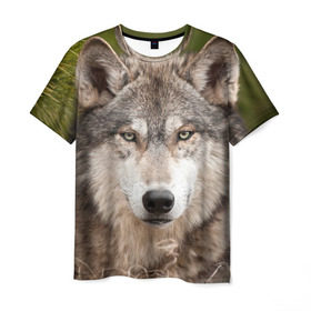 Мужская футболка 3D с принтом Волк в Санкт-Петербурге, 100% полиэфир | прямой крой, круглый вырез горловины, длина до линии бедер | Тематика изображения на принте: animal | eyes | forest | predator | wild | wolf | взгляд | волк | дикий | животное | зверь | лес | хищник