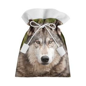 Подарочный 3D мешок с принтом Волк в Санкт-Петербурге, 100% полиэстер | Размер: 29*39 см | animal | eyes | forest | predator | wild | wolf | взгляд | волк | дикий | животное | зверь | лес | хищник