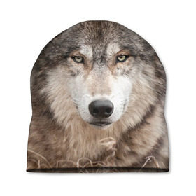 Шапка 3D с принтом Волк в Санкт-Петербурге, 100% полиэстер | универсальный размер, печать по всей поверхности изделия | animal | eyes | forest | predator | wild | wolf | взгляд | волк | дикий | животное | зверь | лес | хищник