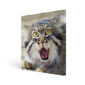 Холст квадратный с принтом Дикий кот в Санкт-Петербурге, 100% ПВХ |  | animal | cat | eyes | jaws | predator | teeth | wild | взгляд | дикий | животное | клыки | кот | пасть | хищник