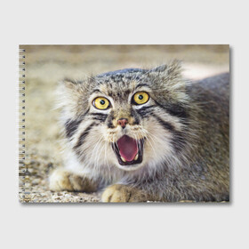 Альбом для рисования с принтом Дикий кот в Санкт-Петербурге, 100% бумага
 | матовая бумага, плотность 200 мг. | Тематика изображения на принте: animal | cat | eyes | jaws | predator | teeth | wild | взгляд | дикий | животное | клыки | кот | пасть | хищник