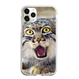 Чехол для iPhone 11 Pro Max матовый с принтом Дикий кот в Санкт-Петербурге, Силикон |  | animal | cat | eyes | jaws | predator | teeth | wild | взгляд | дикий | животное | клыки | кот | пасть | хищник