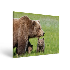 Холст прямоугольный с принтом Медведи в Санкт-Петербурге, 100% ПВХ |  | Тематика изображения на принте: animals | bears | children | family | green | meadow | mother | predators | дети | животные | зеленая | мама | медведи | поляна | семья | хищники