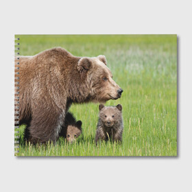 Альбом для рисования с принтом Медведи в Санкт-Петербурге, 100% бумага
 | матовая бумага, плотность 200 мг. | Тематика изображения на принте: animals | bears | children | family | green | meadow | mother | predators | дети | животные | зеленая | мама | медведи | поляна | семья | хищники