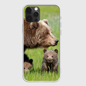Чехол для iPhone 12 Pro с принтом Медведи в Санкт-Петербурге, силикон | область печати: задняя сторона чехла, без боковых панелей | animals | bears | children | family | green | meadow | mother | predators | дети | животные | зеленая | мама | медведи | поляна | семья | хищники