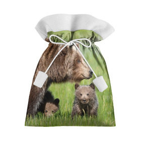 Подарочный 3D мешок с принтом Медведи в Санкт-Петербурге, 100% полиэстер | Размер: 29*39 см | Тематика изображения на принте: animals | bears | children | family | green | meadow | mother | predators | дети | животные | зеленая | мама | медведи | поляна | семья | хищники