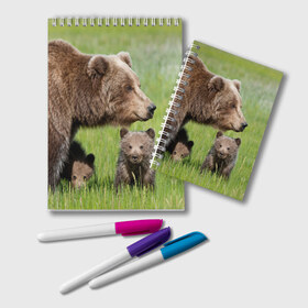 Блокнот с принтом Медведи в Санкт-Петербурге, 100% бумага | 48 листов, плотность листов — 60 г/м2, плотность картонной обложки — 250 г/м2. Листы скреплены удобной пружинной спиралью. Цвет линий — светло-серый
 | Тематика изображения на принте: animals | bears | children | family | green | meadow | mother | predators | дети | животные | зеленая | мама | медведи | поляна | семья | хищники