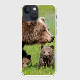 Чехол для iPhone 13 mini с принтом Медведи в Санкт-Петербурге,  |  | animals | bears | children | family | green | meadow | mother | predators | дети | животные | зеленая | мама | медведи | поляна | семья | хищники