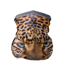 Бандана-труба 3D с принтом Леопард в Санкт-Петербурге, 100% полиэстер, ткань с особыми свойствами — Activecool | плотность 150‒180 г/м2; хорошо тянется, но сохраняет форму | animal | leopard | look | predator | spotted | wild | взгляд | дикий | животное | леопард | пятнистый | хищник
