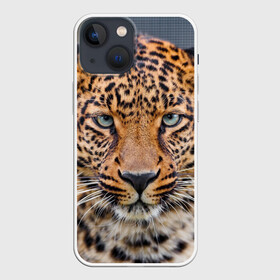 Чехол для iPhone 13 mini с принтом Леопард в Санкт-Петербурге,  |  | animal | leopard | look | predator | spotted | wild | взгляд | дикий | животное | леопард | пятнистый | хищник