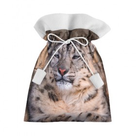 Подарочный 3D мешок с принтом Леопард в Санкт-Петербурге, 100% полиэстер | Размер: 29*39 см | animal | leopard | look | predator | spotted | wild | взгляд | дикий | животное | леопард | пятнистый | хищник