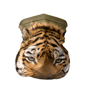 Бандана-труба 3D с принтом Тигр в Санкт-Петербурге, 100% полиэстер, ткань с особыми свойствами — Activecool | плотность 150‒180 г/м2; хорошо тянется, но сохраняет форму | animal | predator | striped | tiger | view | wild | взгляд | дикий | животное | полосатый | тигр | хищник