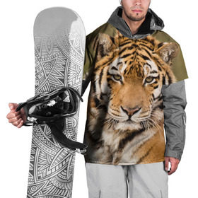 Накидка на куртку 3D с принтом Тигр в Санкт-Петербурге, 100% полиэстер |  | Тематика изображения на принте: animal | predator | striped | tiger | view | wild | взгляд | дикий | животное | полосатый | тигр | хищник