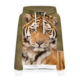 Женская толстовка 3D с принтом Тигр в Санкт-Петербурге, 100% полиэстер  | двухслойный капюшон со шнурком для регулировки, мягкие манжеты на рукавах и по низу толстовки, спереди карман-кенгуру с мягким внутренним слоем. | animal | predator | striped | tiger | view | wild | взгляд | дикий | животное | полосатый | тигр | хищник