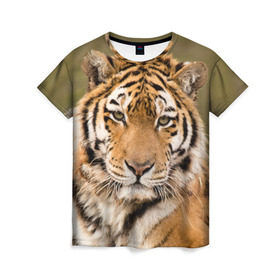 Женская футболка 3D с принтом Тигр в Санкт-Петербурге, 100% полиэфир ( синтетическое хлопкоподобное полотно) | прямой крой, круглый вырез горловины, длина до линии бедер | animal | predator | striped | tiger | view | wild | взгляд | дикий | животное | полосатый | тигр | хищник