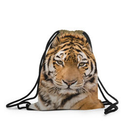 Рюкзак-мешок 3D с принтом Тигр в Санкт-Петербурге, 100% полиэстер | плотность ткани — 200 г/м2, размер — 35 х 45 см; лямки — толстые шнурки, застежка на шнуровке, без карманов и подкладки | animal | predator | striped | tiger | view | wild | взгляд | дикий | животное | полосатый | тигр | хищник