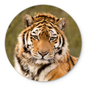 Коврик круглый с принтом Тигр в Санкт-Петербурге, резина и полиэстер | круглая форма, изображение наносится на всю лицевую часть | animal | predator | striped | tiger | view | wild | взгляд | дикий | животное | полосатый | тигр | хищник