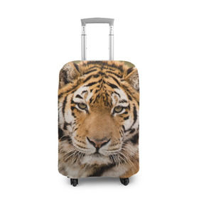 Чехол для чемодана 3D с принтом Тигр в Санкт-Петербурге, 86% полиэфир, 14% спандекс | двустороннее нанесение принта, прорези для ручек и колес | animal | predator | striped | tiger | view | wild | взгляд | дикий | животное | полосатый | тигр | хищник