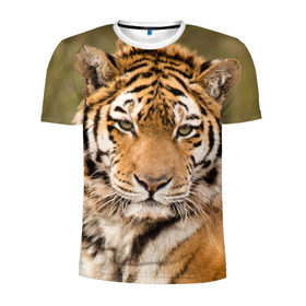 Мужская футболка 3D спортивная с принтом Тигр в Санкт-Петербурге, 100% полиэстер с улучшенными характеристиками | приталенный силуэт, круглая горловина, широкие плечи, сужается к линии бедра | animal | predator | striped | tiger | view | wild | взгляд | дикий | животное | полосатый | тигр | хищник