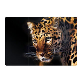 Магнитный плакат 3Х2 с принтом Леопард в Санкт-Петербурге, Полимерный материал с магнитным слоем | 6 деталей размером 9*9 см | Тематика изображения на принте: animal | leopard | look | predator | spotted | wild | взгляд | дикий | животное | леопард | пятнистый | хищник
