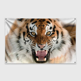 Флаг-баннер с принтом Тигр в Санкт-Петербурге, 100% полиэстер | размер 67 х 109 см, плотность ткани — 95 г/м2; по краям флага есть четыре люверса для крепления | animal | predator | striped | tiger | view | wild | взгляд | дикий | животное | полосатый | тигр | хищник