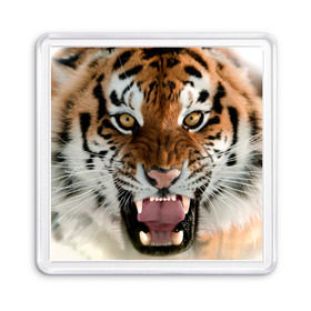 Магнит 55*55 с принтом Тигр в Санкт-Петербурге, Пластик | Размер: 65*65 мм; Размер печати: 55*55 мм | Тематика изображения на принте: animal | predator | striped | tiger | view | wild | взгляд | дикий | животное | полосатый | тигр | хищник