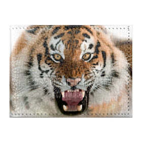 Обложка для студенческого билета с принтом Тигр в Санкт-Петербурге, натуральная кожа | Размер: 11*8 см; Печать на всей внешней стороне | animal | predator | striped | tiger | view | wild | взгляд | дикий | животное | полосатый | тигр | хищник