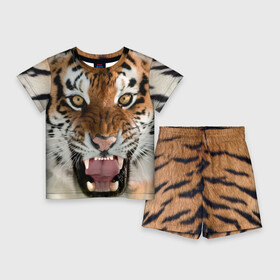 Детский костюм с шортами 3D с принтом Тигр в Санкт-Петербурге,  |  | animal | predator | striped | tiger | view | wild | взгляд | дикий | животное | полосатый | тигр | хищник