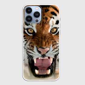 Чехол для iPhone 13 Pro Max с принтом Тигр в Санкт-Петербурге,  |  | Тематика изображения на принте: animal | predator | striped | tiger | view | wild | взгляд | дикий | животное | полосатый | тигр | хищник