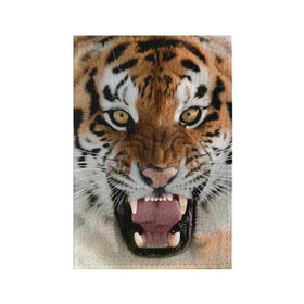 Обложка для паспорта матовая кожа с принтом Тигр в Санкт-Петербурге, натуральная матовая кожа | размер 19,3 х 13,7 см; прозрачные пластиковые крепления | animal | predator | striped | tiger | view | wild | взгляд | дикий | животное | полосатый | тигр | хищник
