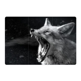 Магнитный плакат 3Х2 с принтом Лиса в Санкт-Петербурге, Полимерный материал с магнитным слоем | 6 деталей размером 9*9 см | animal | bw | fox | jaws | predator | sly | teeth | wild | yawn | дикая | животное | зевает | зубы | лиса | пасть | хитрая | хищник | чб