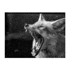 Обложка для студенческого билета с принтом Лиса в Санкт-Петербурге, натуральная кожа | Размер: 11*8 см; Печать на всей внешней стороне | animal | bw | fox | jaws | predator | sly | teeth | wild | yawn | дикая | животное | зевает | зубы | лиса | пасть | хитрая | хищник | чб