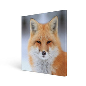 Холст квадратный с принтом Лиса в Санкт-Петербурге, 100% ПВХ |  | animal | fox | look | predator | red | sly | wild | взгляд | дикая | животное | лиса | рыжая | хитрая | хищник
