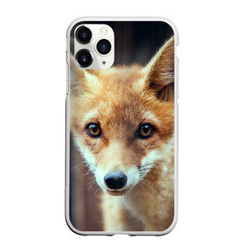 Чехол для iPhone 11 Pro Max матовый с принтом Лиса в Санкт-Петербурге, Силикон |  | animal | baby | fox | look | predator | red | sly | wild | взгляд | дикая | животное | лиса | малыш | рыжая | хитрая | хищник