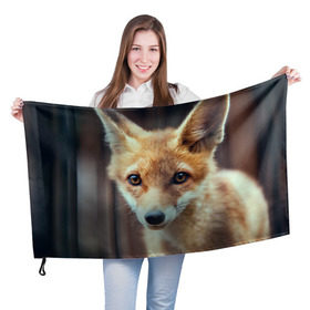 Флаг 3D с принтом Лиса в Санкт-Петербурге, 100% полиэстер | плотность ткани — 95 г/м2, размер — 67 х 109 см. Принт наносится с одной стороны | animal | baby | fox | look | predator | red | sly | wild | взгляд | дикая | животное | лиса | малыш | рыжая | хитрая | хищник