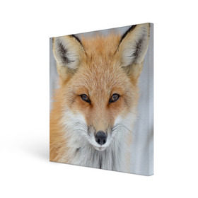Холст квадратный с принтом Лиса в Санкт-Петербурге, 100% ПВХ |  | animal | baby | fox | look | predator | red | sly | wild | взгляд | дикая | животное | лиса | малыш | рыжая | хитрая | хищник