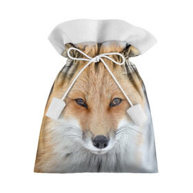 Подарочный 3D мешок с принтом Лиса в Санкт-Петербурге, 100% полиэстер | Размер: 29*39 см | animal | baby | fox | look | predator | red | sly | wild | взгляд | дикая | животное | лиса | малыш | рыжая | хитрая | хищник
