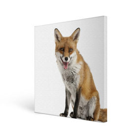 Холст квадратный с принтом Лиса в Санкт-Петербурге, 100% ПВХ |  | animal | baby | fox | look | predator | red | sly | wild | взгляд | дикая | животное | лиса | малыш | рыжая | хитрая | хищник