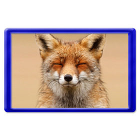 Магнит 45*70 с принтом Лиса в Санкт-Петербурге, Пластик | Размер: 78*52 мм; Размер печати: 70*45 | animal | baby | fox | look | predator | red | sly | wild | взгляд | дикая | животное | лиса | малыш | рыжая | хитрая | хищник