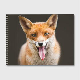 Альбом для рисования с принтом Лиса в Санкт-Петербурге, 100% бумага
 | матовая бумага, плотность 200 мг. | animal | fox | look | predator | red | sly | wild | взгляд | дикая | животное | лиса | рыжая | хитрая | хищник