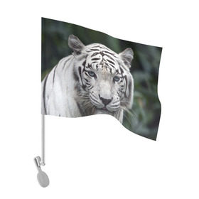 Флаг для автомобиля с принтом Белый тигр в Санкт-Петербурге, 100% полиэстер | Размер: 30*21 см | animal | jungle | look | predator | tiger | white | wild | белый | взгляд | джунгли | дикий | животное | тигр | хищник