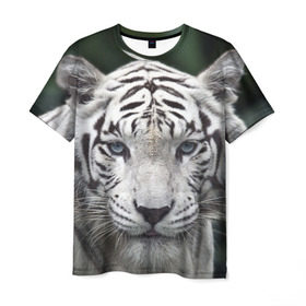 Мужская футболка 3D с принтом Белый тигр в Санкт-Петербурге, 100% полиэфир | прямой крой, круглый вырез горловины, длина до линии бедер | Тематика изображения на принте: animal | jungle | look | predator | tiger | white | wild | белый | взгляд | джунгли | дикий | животное | тигр | хищник