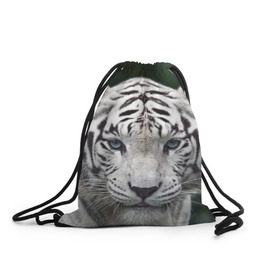 Рюкзак-мешок 3D с принтом Белый тигр в Санкт-Петербурге, 100% полиэстер | плотность ткани — 200 г/м2, размер — 35 х 45 см; лямки — толстые шнурки, застежка на шнуровке, без карманов и подкладки | Тематика изображения на принте: animal | jungle | look | predator | tiger | white | wild | белый | взгляд | джунгли | дикий | животное | тигр | хищник