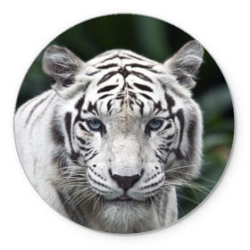 Коврик круглый с принтом Белый тигр в Санкт-Петербурге, резина и полиэстер | круглая форма, изображение наносится на всю лицевую часть | animal | jungle | look | predator | tiger | white | wild | белый | взгляд | джунгли | дикий | животное | тигр | хищник