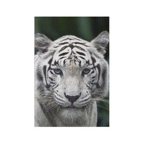 Обложка для паспорта матовая кожа с принтом Белый тигр в Санкт-Петербурге, натуральная матовая кожа | размер 19,3 х 13,7 см; прозрачные пластиковые крепления | animal | jungle | look | predator | tiger | white | wild | белый | взгляд | джунгли | дикий | животное | тигр | хищник